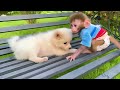 Puppy Monkey Baby remix