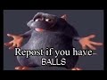please repeat the process of uploading this short clip only if you possess specific spherical organs