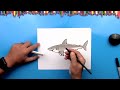 How To Draw A Great White Shark