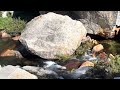 High Sierra trail to Precipice lake