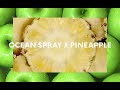Ocean Spray® 100% Juice
