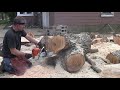 Big Tree & Snellerized Saws - 36