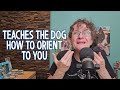 Threshold Game For Dogs: Step By Step Training Plan So You Become Your Dog's Center Of Attention