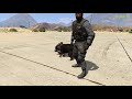 MINECRAFT DOG VS GTA 5 DOG VS GTA SAN ANDREAS DOG - WHO IS BEST?