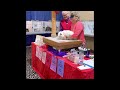 Tranquility Candy Stripe at a TICA cat show 5/22