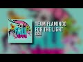 Team Flamingo for the Light