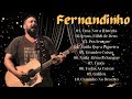 FERNANDINHO AS MELHORES FERNANDINHO + FELIPO CARVALHO OFICIAL TOP AS MELHORES ,Todas As Coisas