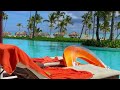 Secrets Cap Cana Resort & Spa | Cap Cana | Resort Review