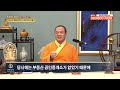 부처님의 일대기에서 나에게도 일어날 수 있는 기적의 장면들 |진푸티 종사의 보리심 659회 전체영상 #부처님의 경지를 탐색하다 8 #진푸티