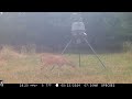 Deer Feeder Cam: Browning Spec Ops Edge May 22-24, 2024