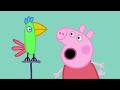 Peppa's Very Muddy Playtime 🧽 🐽 Peppa Pig and Friends Full Episodes
