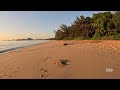 Virtual Run Tropical Beach - Palm Cove 4K - Running Video - Virtual Scenery - Australia Walking Tour