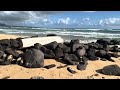 A Walk on a Hawaiian Beach