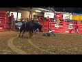 Wilfong Bucking Bulls Howdy Doody