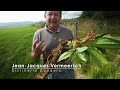 Auvergne, volcanic France - unique adventure in the Massif Central - Full documentary - AMP