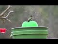 How To Make Hummingbird ENDLESS Water Fountain $1 BOWL Bird Bath EASY Solar Powered TOTALLY PORTABLE