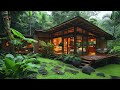 Exploring A Modern Rustic Wooden & Stone Cabin with Large Windows & Lush Tropical Garden Landscape