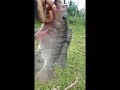 nakahuli rin ng Marami giant tilapia ARSAP-GutalacZN tiksayfishhunting/footpumpvlog#11