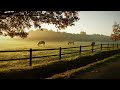 [2시간 반복] 하이든(Haydn), 교향곡 제101번 ‘시계’ 2악장(Symphony No.101 in D Major ‘The Clock’ Second Movement)