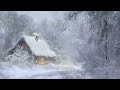 Beautiful Snowstorm at an Old Cabin in the Mountains | Blizzard & Snowstorm ASMR for Sleep, Relax