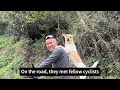 A boy rescued a stray pup on his bike trip, takes it on a 16,000 km journey, hoping to cross China