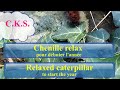 🐛 🧘 Chenille relax pour débuter l'année - Relaxed caterpillar to start the year - C.K.S. #animal ☮️