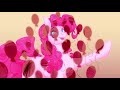 Secret Behind the Element of Laughter - Speedpaint MLP ( Warning )