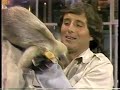 Jack Hanna Collection on Letterman, Part 1 of 11: 1985-1986