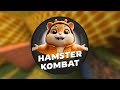 Hamster Komabt - How To Withdraw Coins To Your Wallet (When it's possible) - FULL GUIDE