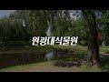 8월에 가면 좋은 국내여행지 추천 BEST 5