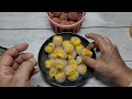 Stuffed Litchi Basundi Recipe | Lichi Sandesh | Mango Basundi | Lychee Rabri | Mango Rabdi Recipe