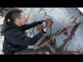 ¿Cómo es el GRAFFITI en ISLANDIA? 🇮🇸 | VLOG Joviman2405 + Sticker and Tagging bombing | 2024