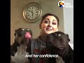 Scared Pit Bull Dog Gets Sister Who Changes His Life | The Dodo