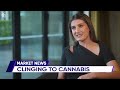 How a medicinal cannabis company choked | nzherald.co.nz