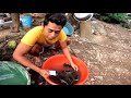 vlog103 | Using Traditional Trap To Catch Mud Crab | Ang Galing