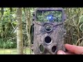 New View Hunting T5 Trail Camera - Battery Life after 4 Weeks