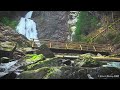 [Nature Therapy Sounds] Waterfall & Stream, Birds Chirping in the forest 🕊🍃💦