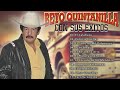 Beto Quintanilla Con Sus Exitos || Corridos Mix Para Pistear