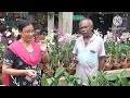 Nursery visit l অর্কিডের সাম্রাজ্য।Mukherjee horticulture