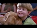 AIR BUD: SPIKES BACK - Official Movie