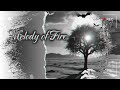 Melody of Fire (soul,  blues,  rock, )