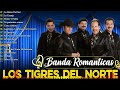 Los Tigres Del Norte Sus Mejores Canciones ~ Los Tigres Del Norte Mix 2024 Pa Pistear#49