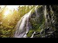 THE PROXY FALLS 4K Video with Authentic Nature Sounds for Relaxation and Sleep