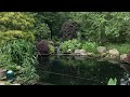 Backyard pond and waterfall (Relaxation)
