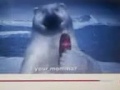 Coca-Cola Bear Message From Momma