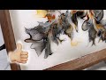 Serving Tray Tutorial, Jaw-Dropping results! Fluid Art, Functional Art