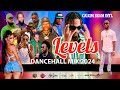 Dancehall Mix 2024 | New Dancehall Songs | Levels | 450,Chronic law,Alkaline,Vybz kartel,Nigy Boy