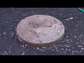Building a DIY Crushed Stone Patio Fire Pit Area - ASMR