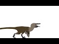 Austroraptor test