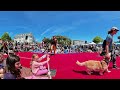 【360° VR】17th Annual San Francisco Dog Festival - 2024 SF DogFest - 8K 3D 360 VR Video